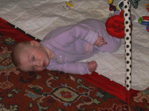 paisleym 332.jpg (1172490 bytes)