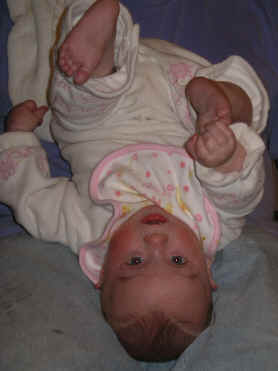 paisleymm 006.jpg (1008831 bytes)