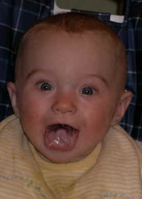 paisleymm 045.jpg (1051938 bytes)