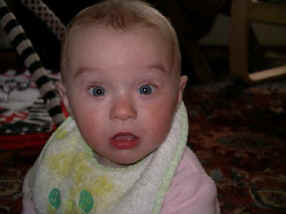 paisleymm 059.jpg (968436 bytes)