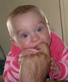 paisleymm 213.jpg (1182554 bytes)