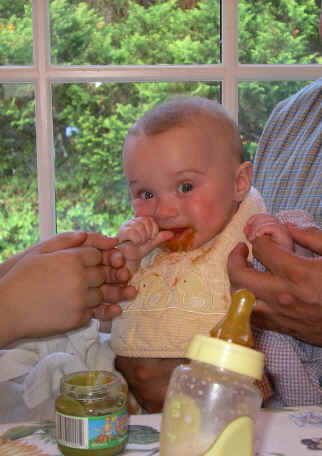 paisleymm 271.jpg (859520 bytes)