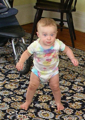 paisleys05 020.jpg (1387294 bytes)