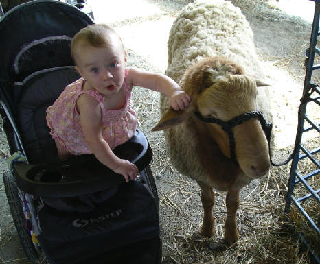 paisleys05 142.jpg (1101451 bytes)