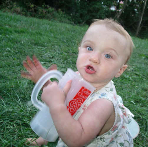 paisleys05 197.jpg (1282966 bytes)