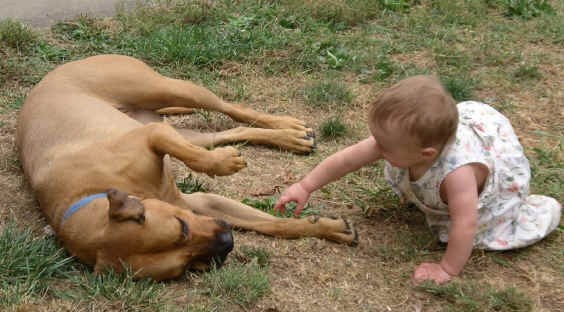 paisleys05 204.jpg (1239140 bytes)